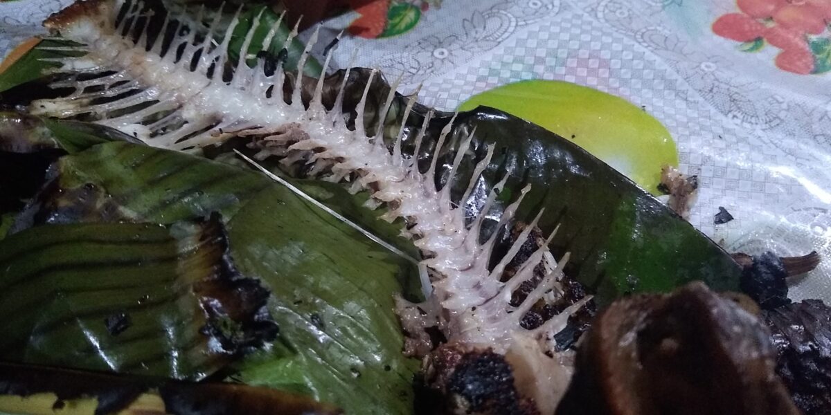 Teste de publicação via aplicativo